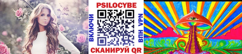 где купить   Южно-Сухокумск  Галлюциногенные грибы GOLDEN TEACHER 