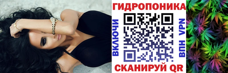 omg рабочий сайт  Южно-Сухокумск  Конопля SATIVA & INDICA 